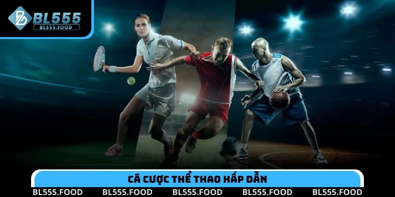 Cá cược thể thao hấp dẫn với hàng nghìn kèo mỗi ngày